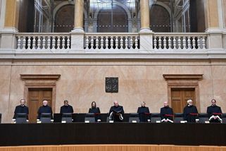 Rarita. Ústavní soud zrušil vlastní rozhodnutí - Novinky